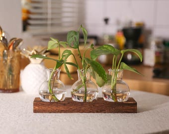 May include: A trio of small, clear glass bud vases, each holding a plant cutting, sit on a dark brown wooden base. The vases have a rounded shape with a narrow neck. The plants have green leaves.