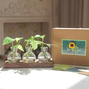 Plant Propagation Station, Plants Starter Station, Mothers day gifts, Indoor Plant Cuttings, Gifts for Women, Plant Lover Gift