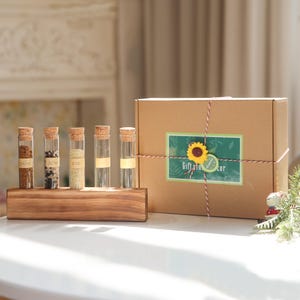 Wood Plant Propagation Station: Glass Test Tube Spice Set