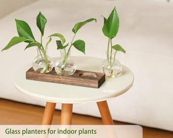May include: Three small glass planters with green plants sit on a dark wooden stand. The stand is on a white table with wooden legs. The text in the image says "Glass planters for indoor plants."