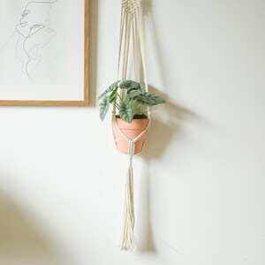 Pode incluir: Um suporte de plantas em macramé com um vaso de terracota contendo uma planta verde. O macramé branco sujo pende de cima, com uma borla na parte inferior. A planta tem folhas grandes e texturizadas.