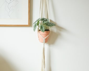 May include: A hanging macrame plant holder with a terracotta pot holding a green plant. The macrame is off-white and hangs from the top, with a tassel at the bottom. The plant has large, textured leaves.