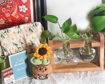 Teacher Appreciation Gift Box | Teacher Mentor: Plant Propagation Station Vase, Sticky notes,Sweet Message Holder,Crochet Sunflower