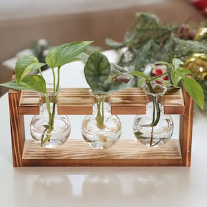 Plant Propagation Station: Hydroponic Vase with Wooden Stand