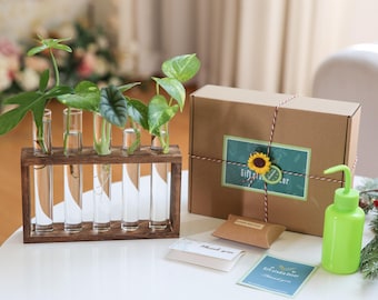 Plant Lover Gift, Women Gift Plant Propagation Station, Wall Mounted Glass Test Tube Plant Holder for Plant Cuttings Home Office Table Decor