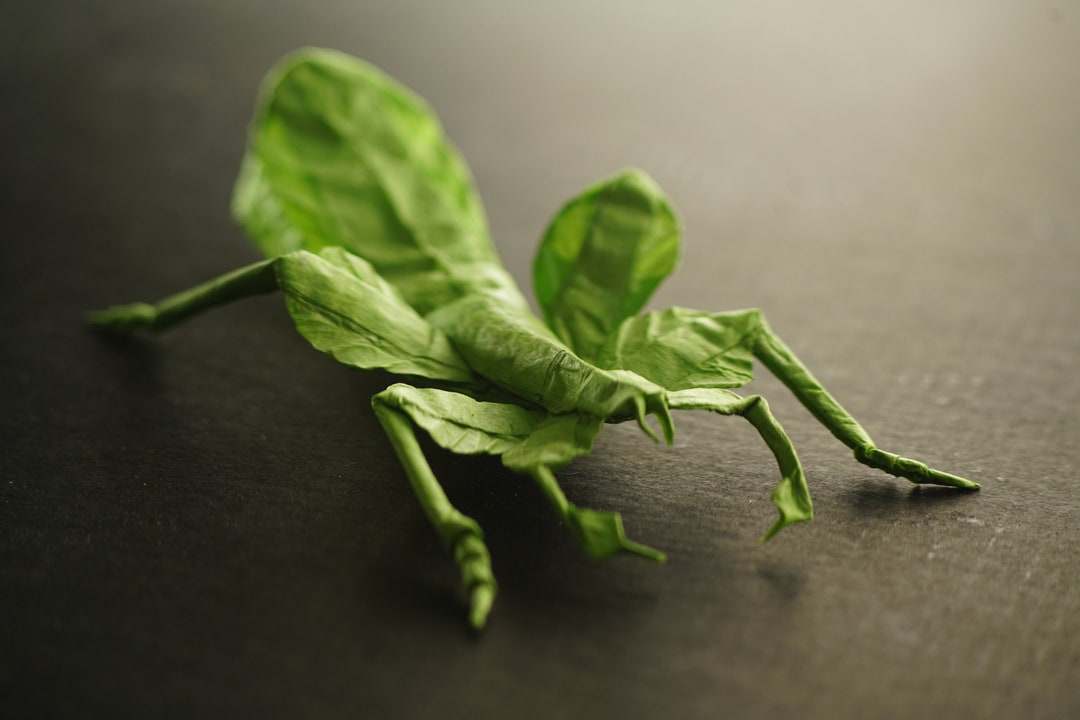 Origami Leaf Insect (100% Legit Origami Designed by Me) - Etsy