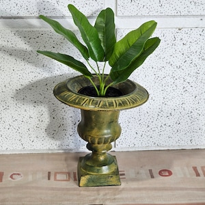 May include: A green ceramic planter with a square base and a wide, round top. A leafy green plant with long, narrow leaves is planted in the planter.