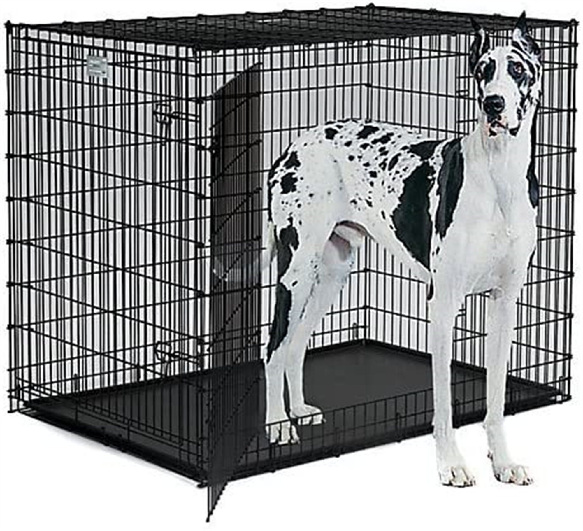 Giant Dog Cage | 54 inch long dog cage suitable for Great Dane, Mastiff, St. Bernard and other XXL breeds