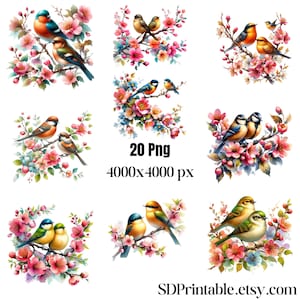 Watercolor Floral Bird Clipart: Spring Blossom PNG (Digital Download)