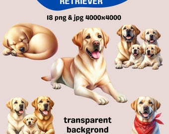 Yellow Lab-clipartset: labrador retriever, png en jpg (digitale download)