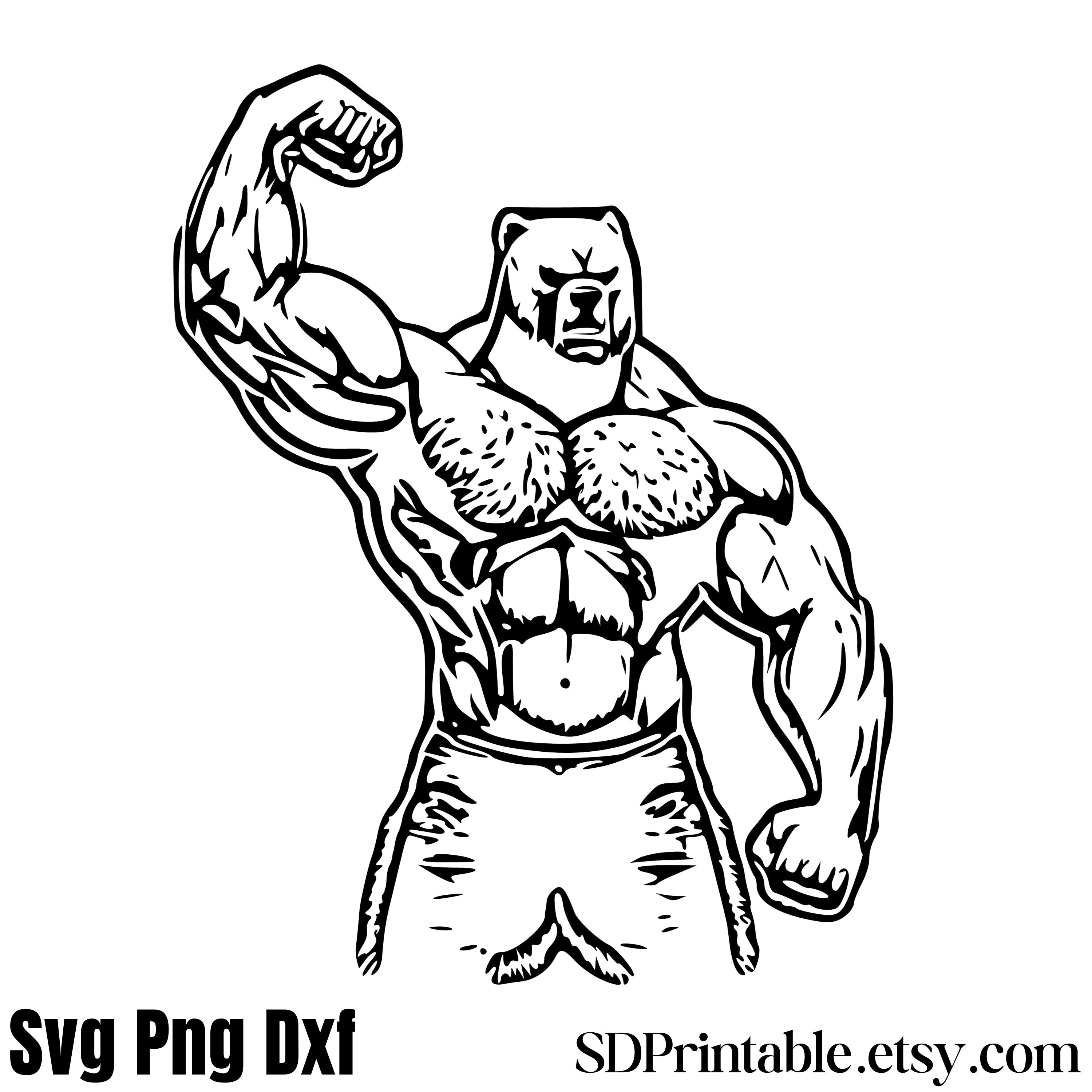 Bear Svgmuscle Bear Svg Power Bear Png Power Bear Svg - Etsy