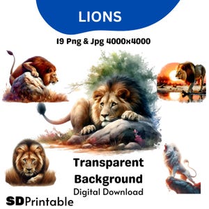 Majestätisch Löwe Clipart, 3D Löwe Clipart Bundle, 19 hochwertige Designs, Wildtier Kunst, Printables, kommerzielle Nutzung