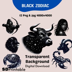 Zodiac Clipart Bundle, 12 Zodiac Signs PNG, Celestial Star Sign Illustrations, Astrology Clipart, Transparent Background, Digital Download