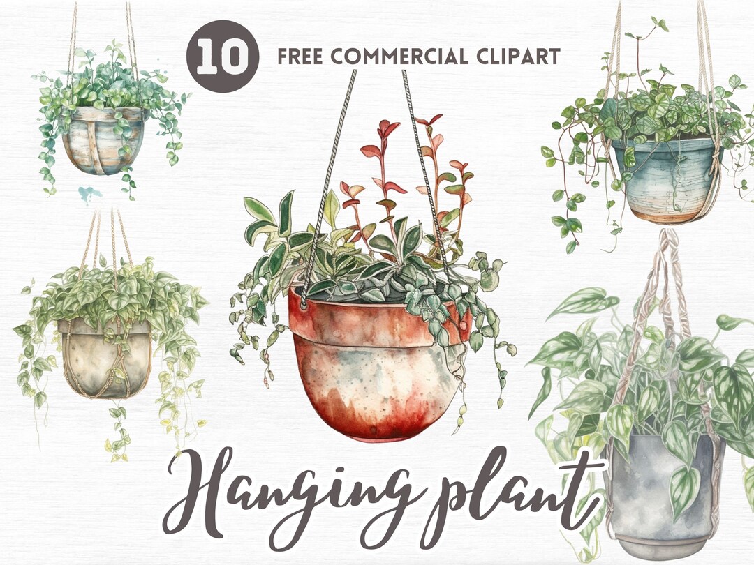 Hanging Plant Watercolor Clipart Bundle Free Commercial Etsy