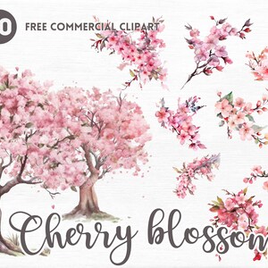 Cherry blossom watercolor clipart bundle Free commercial  watercolor clipart set Aesthetic sakura watercolor illustration