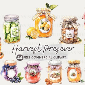 Clipart acquerello di barattolo di sottaceti, conserve di frutta in formato PNG commerciale gratuito, verdure in barattolo, inscatolamento fatto in casa, decorazioni per la cucina, adesivo per ricettario