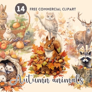 May include: A digital illustration of 14 autumn animals, including a rabbit, squirrel, deer, raccoon, owl, and hedgehogs. The animals are surrounded by fall leaves and other autumnal elements.