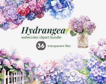 Hydrangea watercolor clipart bundle, Hortensia free commercial set, Hydrangea in vase, Hydrangea fence Instant Download illustration