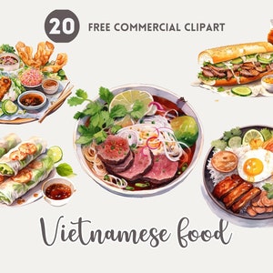 Vietnamese food Watercolor Clipart Bundle, Asian cuisine Free Commercial, Pho, Bread, Beef noodle, spring roll, summer roll, Rice PNG Set
