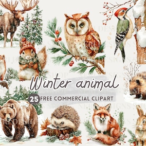 Bundle de cliparts aquarelle animaux des bois d'hiver, png commercial gratuit de la faune de la forêt de Noël, lapin, raton laveur, renard, écureuil, hibou, ours