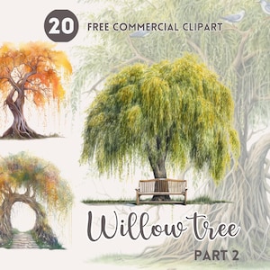 Pilträd akvarell Clipart Bundle Gratis kommersiell nyckfull träd PNG utskrivbar illustration Direkt nedladdning Gråtande pilträd