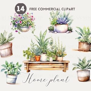 Home plant watercolor clipart bundle, Potted Plant Free commercial PNG, Botanical Illustration, Indoor Hanging Flower, Succulent, Cactus