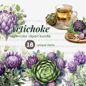 Artichoke watercolor clipart bundle Vegetable Free commercial PNG Botanical Graphic, Plant illustration