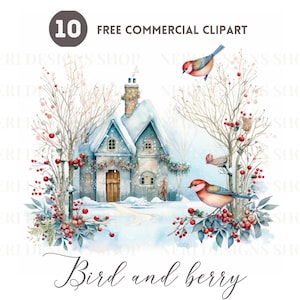 Pacote de clipart aquarela de pássaros e frutas de Natal, casa de inverno aconchegante PNG comercial grátis, ilustração de Holly Berry, gráfico de pássaros nevados