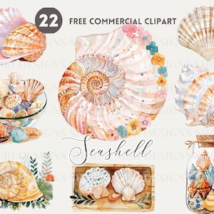 Zeeschelp aquarel clipartbundel, Coastal Shell Bowl Gratis commerciële png-set Seaside shell Jar Illustratie strandschelp schaal, Marine Decor