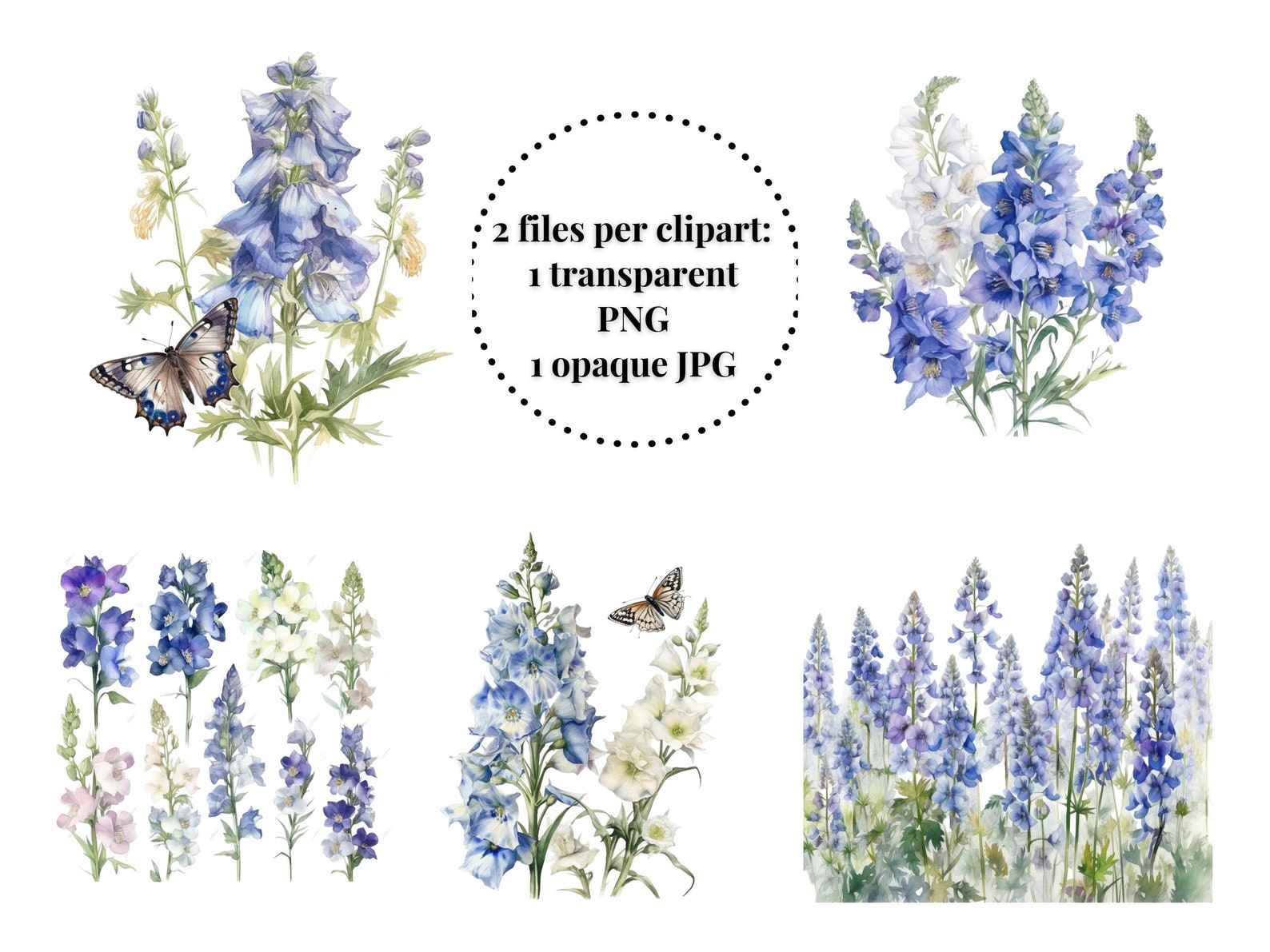 Delphinium Floral Watercolor Clipart Bundle Larkspur Free Commercial ...
