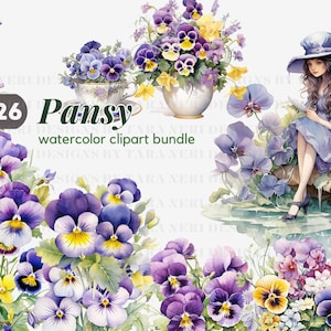 Stiefmütterchen Blume Aquarell Clipart Bündel Kostenlose Kommerzielle Blumen PNG Lila Botanische Illustration Natur Garten Grafik Stiefmütterchen Teetasse Kunst