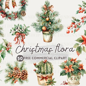 Clipart aquarelle de flore de Noël, PNG commercial gratuit de vacances botanique, feuillage floral saisonnier, couronne, pomme de pin, gui, poinsettia