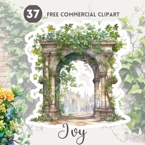 Ivy watercolor clipart bundle Vine Free commercial clipart set Trailing plant, Ivy climbing on gate, Foliage illustration, Botanical graphic