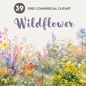 Wildflower bush aquarel clipart bundel Floral Gratis commerciële clipart Meadow Bloom Graphic, Wild botanische illustratie, Floral element