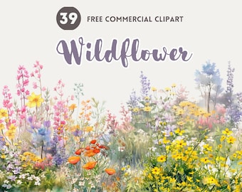 Wildflower bush watercolor clipart bundle Floral Free commercial clipart Meadow Bloom Graphic, Wild botanical illustration, Floral element