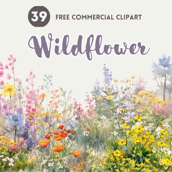 Wildblumenbusch Aquarell Clipart Bundle Floral Kostenlose kommerzielle Clipart Wiesenblüte Grafik, Wilde botanische Illustration, Florales Element