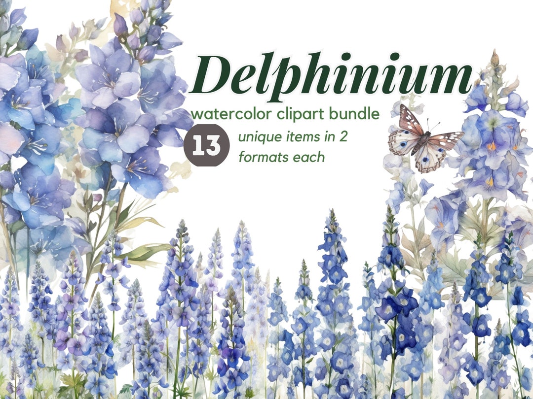 Delphinium Floral Watercolor Clipart Bundle Larkspur Free Commercial ...