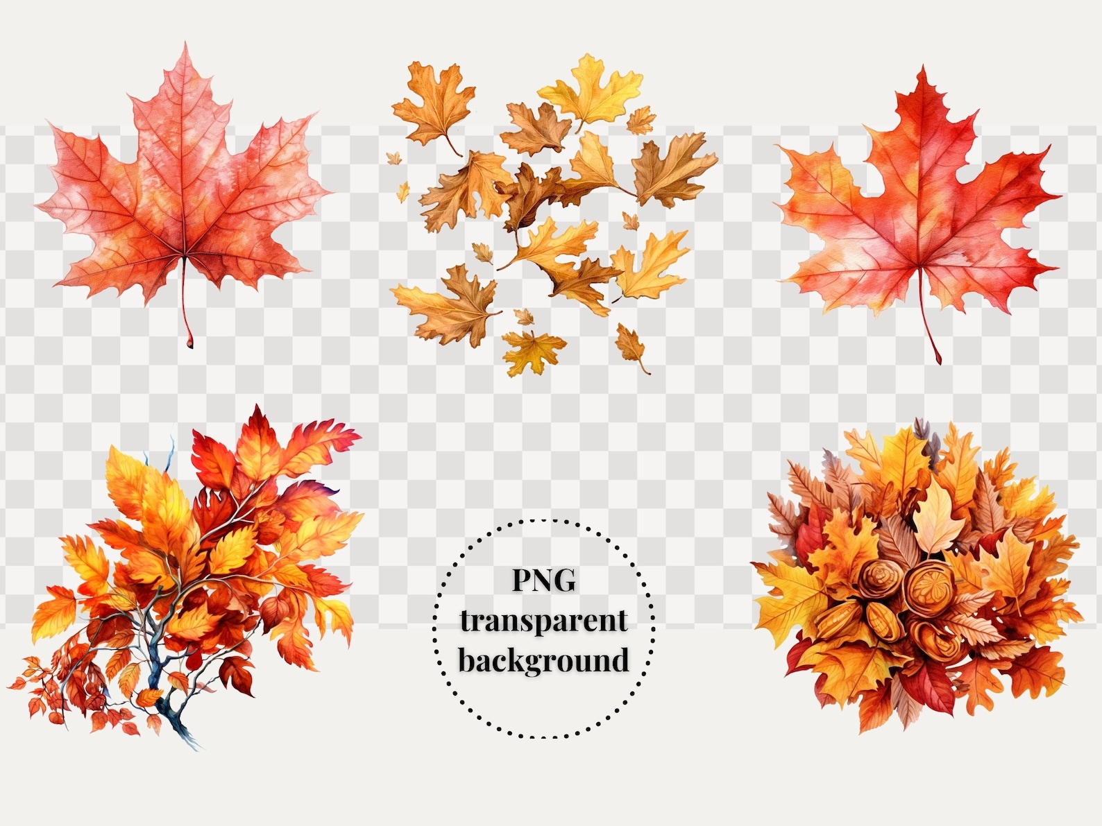 Fall Leaves Watercolor Clipart Bundle, Autumn Foliage Branch Free ...