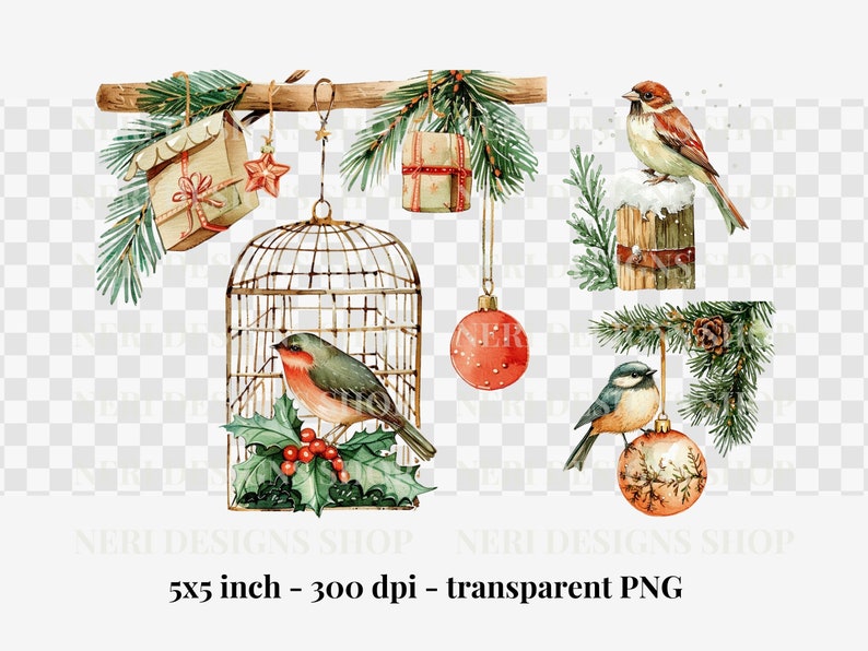 Christmas Bird Watercolor Clipart, Festive Cardinal Free Commercial PNG