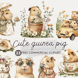 Schattige cavia aquarel clipart, vrolijke cavia gitaar spelen gratis commerciële PNG, cavia in bloemenpot, cavia in theekopje kunst