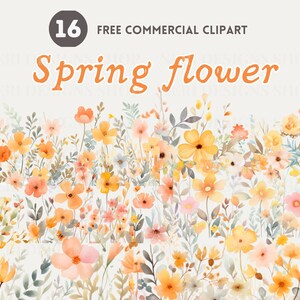 Wildflower aquarel clipart bundel, bloemenrand Gratis commerciële set, lentebloem illustratie, bloemen voettekst, bloemenstruik, array art