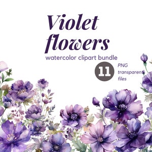 Violet flower watercolor clipart bundle Purple floral Free commercial watercolor clipart set Birth month flower Illustration Bloom clipart