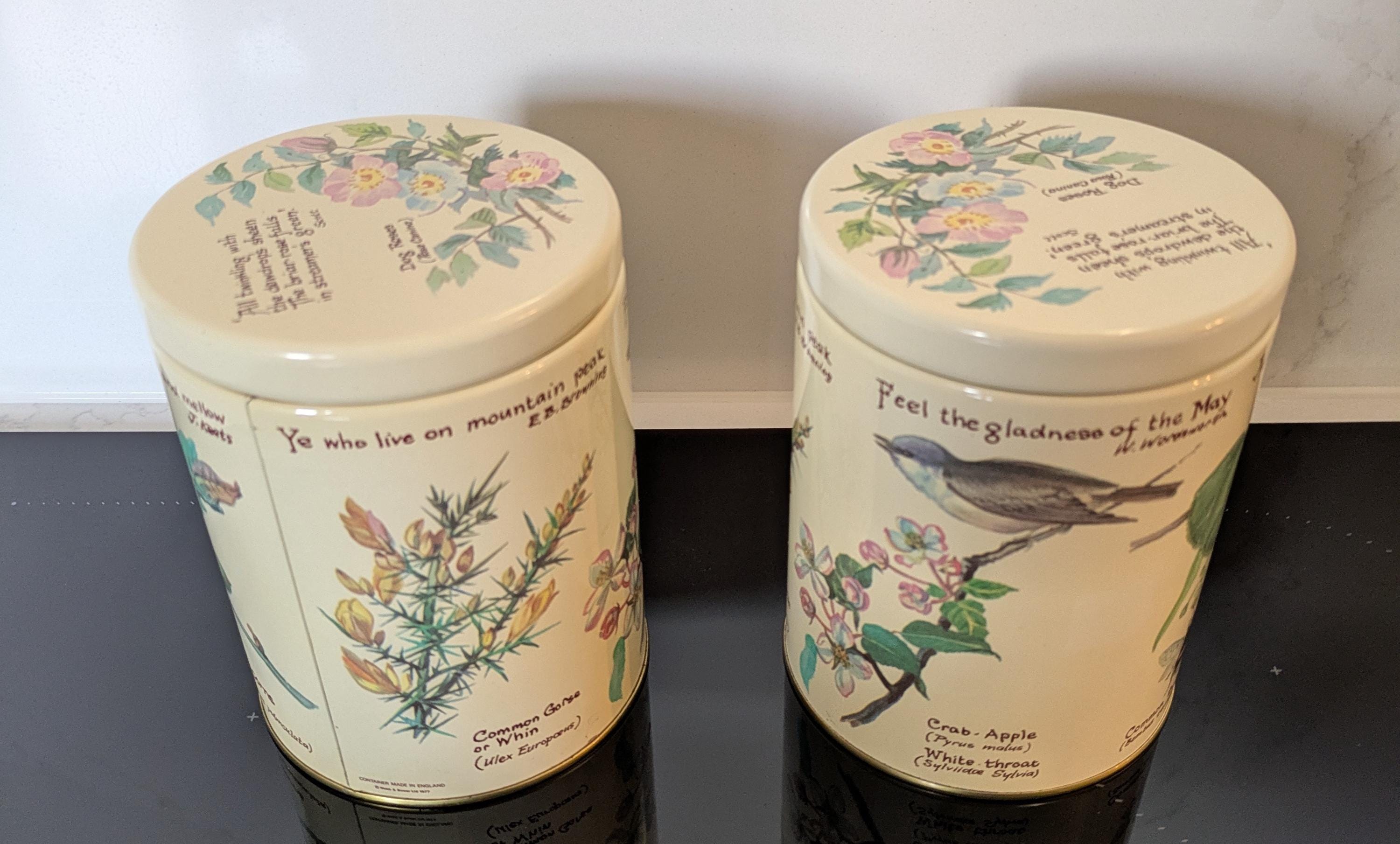 Vintage 1977 Webb & Bower Metal Storage Tins Depicting Wild 