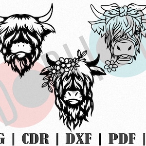 Highland Cow 3 Pieces design SVG, Customize Gift Svg, Vinyl, Bundle Cut File, Svg, Pdf, Ai Printable Design Files