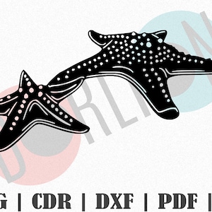 Starfish Design SVG, Customize Gift Svg, Vinyl, Bundle Cut File, Svg, Pdf, Ai Printable Design Files