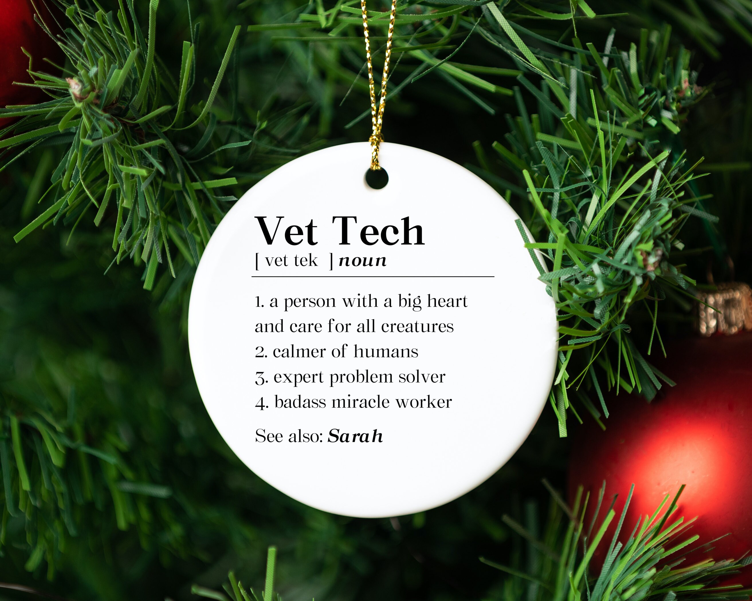Personalized Vet Tech Definition PNG Veterinarian Technician Etsy