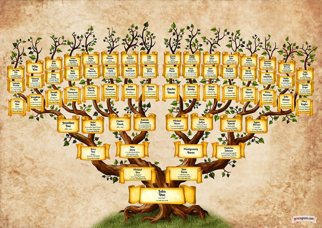 Family Tree Template Genealogy Chart Heritage Template Etsy Canada