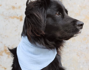 Hundehalstuch Musselin hellblau | Halstuch für Hunde | Bandana | Personalisiert | Personalisierung | Name