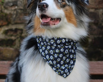 Dog scarf Daisies | Daisy | Bandana | Jersey | Autumn | Dog | Puppy | blue