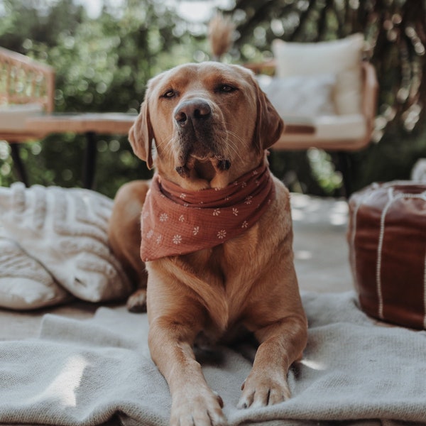 Musselin Hundehalstuch kleine Blumen | Halstuch für Hunde | Blümchen | Bandana | Personalisierung | Personalisiert | Name | taupe | rostrot